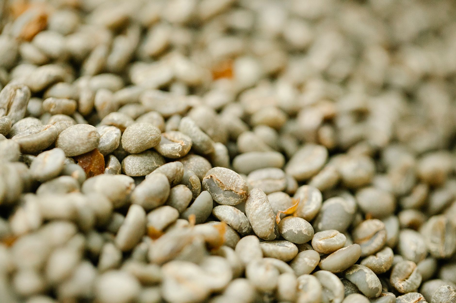 Rohe grüne Kaffeebohnen